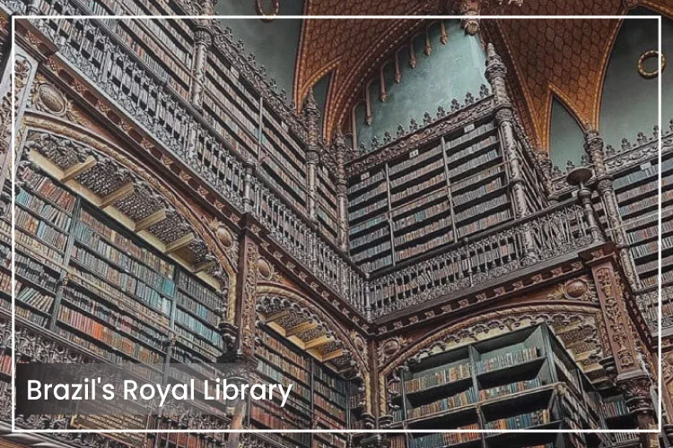 Brazil's Royal Library Was Named the Most Beautiful in the World