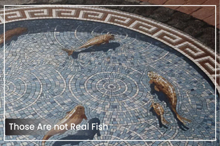 Take a Look - Those Are not Real Fish